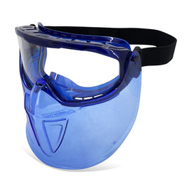 RADNOR™ Safety Glasses With Clear Anti-Fog Lens | RAD64051662