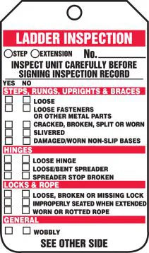 Inspection Tag, LADDER INSPECTION, 5.75