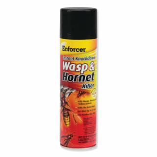 1045839 INSTANT KNOCKDOWN WASP &HORNET KILLER