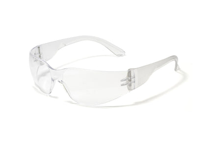 Z-Force 20-100 Series Lightweight Safety Glasses - Frame: Clear - Lens: Clear - Lens Coating: Standard Anti-Fog