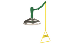 Safety Shower, Ceiling Mount, Stainless Steel Shower Dome