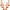 Orange Stanchions 41 Inch Set Of 6