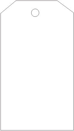 Blank White Tags