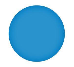 Blue ArmorStripe Lean Marker 6" Circle (10/Pk)