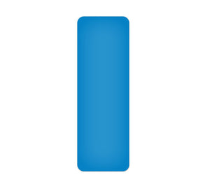 Blue ArmorStripe Lean Marker Dash  (10/Pk)