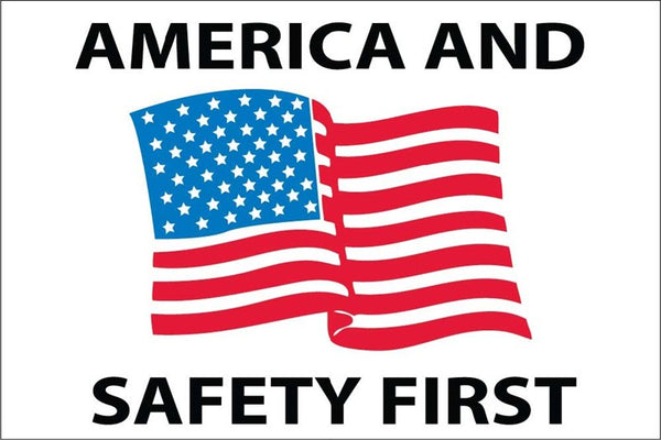AMERICA AND SAFETY FIRST, 2 X 3., PS VINYL