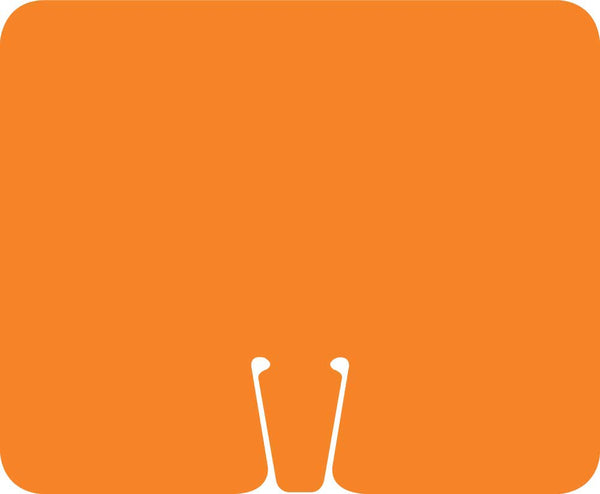 SAFETY CONE SIGNS, BLANK ORANGE, 10.375 X 12.625