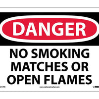 DANGER, NO SMOKING MATCHES OR OPEN FLAMES, 10x14, PS VINYL