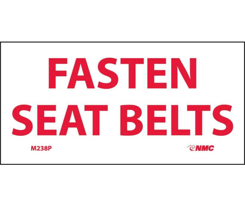 FASTEN SEAT BELTS, 2X4, PS VINYL