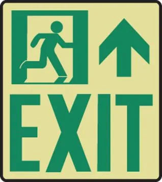 Glow-In-The-Dark Safety Sign: Exit | MLNY520