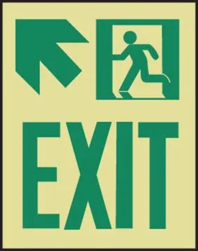 Glow-In-The-Dark Safety Sign: Exit (Left Arrow) | MLNY526