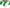 TAPE, GLOW/GREEN STRIPE, 2