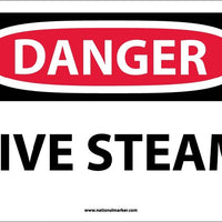 DANGER, LIVE STEAM, 10X14, PS VINYL